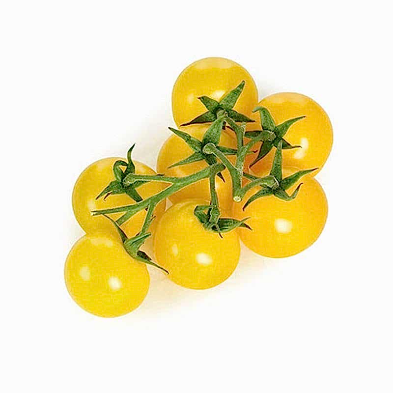 Domates  cherry sarı